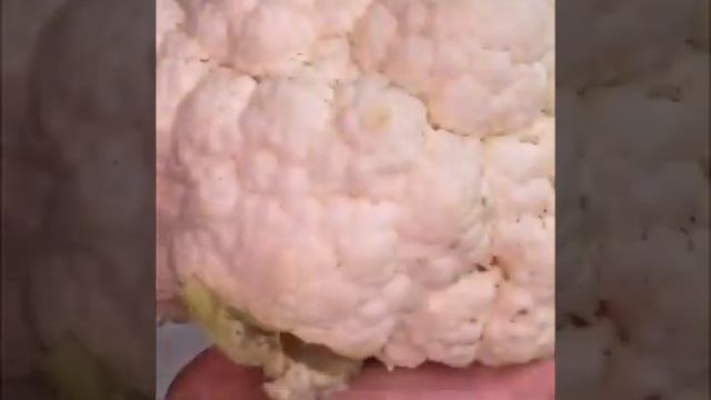 Ужин для всей семьи смотреть онлайн