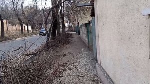 Кисловодск. Спил деревьев на ул Кисловодской. 28.03.2025 г.