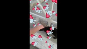 Маленький ты зайчик видео Татьяна Талызина