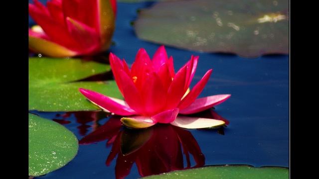 Выборы Дзен смотреть онлайн