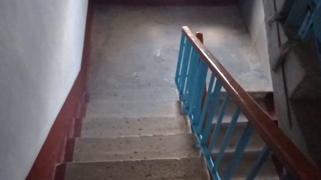 Кошка-консьержка и романтика на этаже - обзор на 9-этажку смотреть онлайн