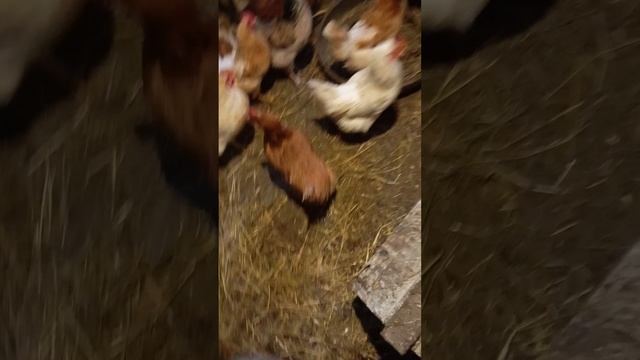 ежедневные трудовые будни)