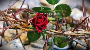 Николай Гумилёв: "М.М.М."  Музыка, исполнение — Елены Артёменко. Запись: октябрь, 1998 года.