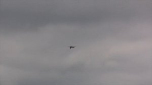 MINI VIPER JET MAX THRUST FLIGHT & REVIEW