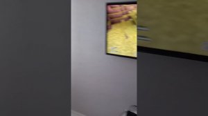 редкость minecraft розовая овца