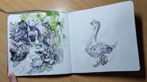 Скетчбук с разными зарисовками. 21.02.2024 —11.05.20024