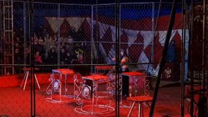 Цирк шапито"Империя Хищников"г.Красногорск.Цирковое представление с Хищниками-15.03.25