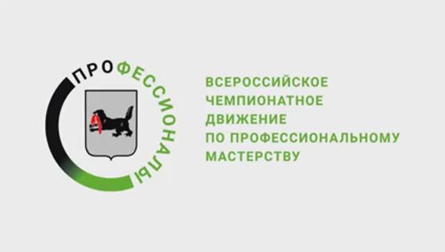 Региональный этап III Чемпионата по профессиональному мастерству «Профессионалы»