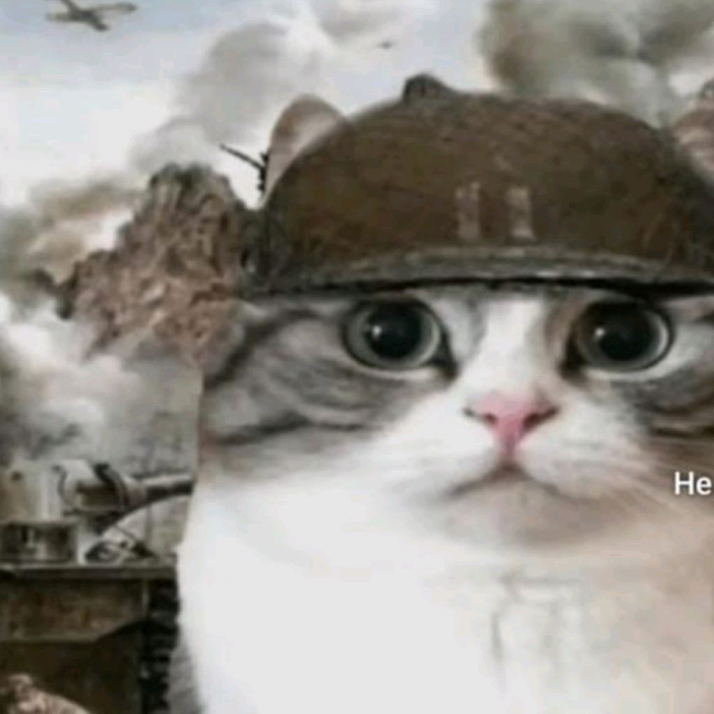 торт