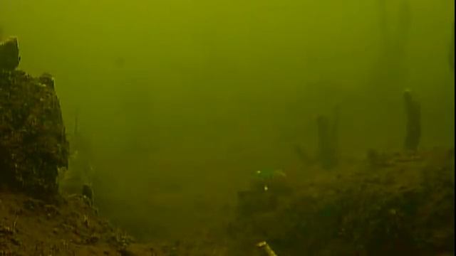 Атака судока на балансир подводная съемка 8метров