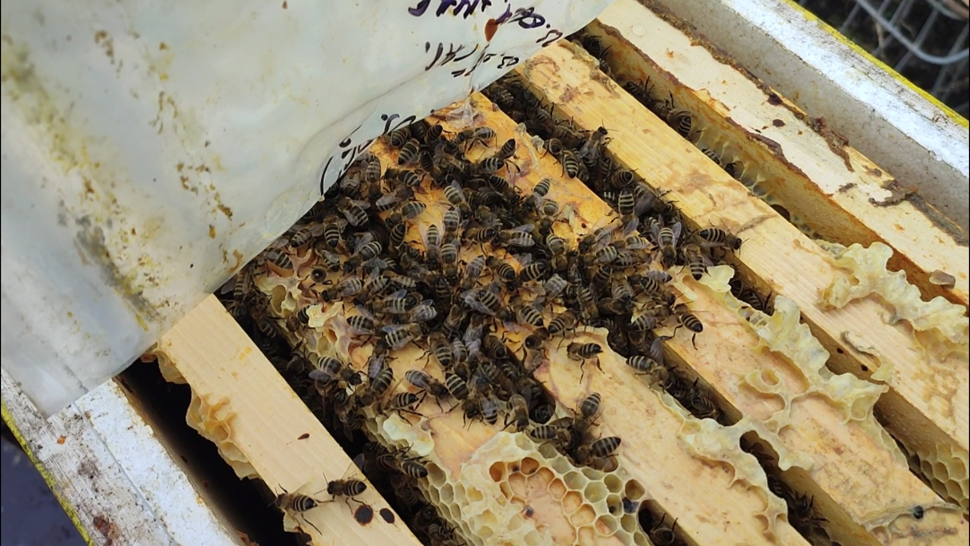 28-03-2025 Зимовка продолжается смотреть онлайн