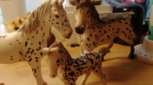 Распаковка жиребёнка