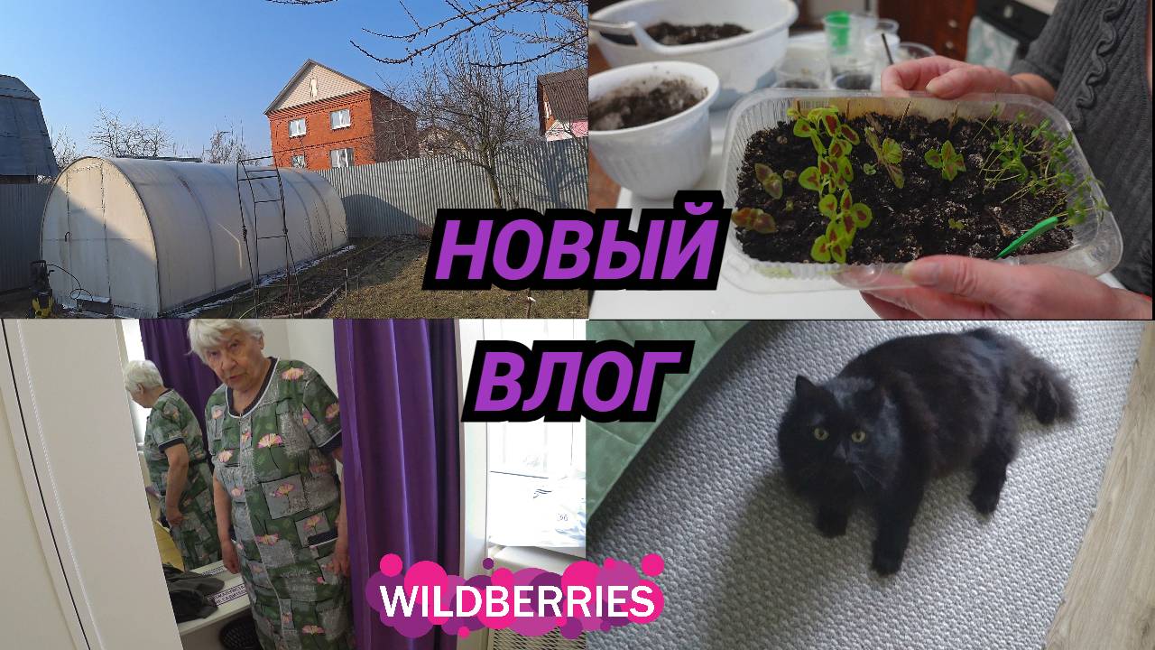 Вымыли теплицу/Рассаживаю колеусы/Пришли в WB, маме заказала халаты. ВЛОГ