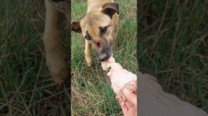 Травмированная Верочка и наши шаги друг к другу