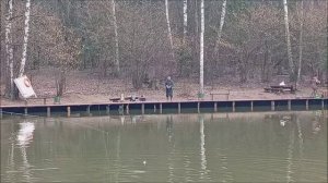 Форель прижалась к "переходному". Клёвое место, Лосиный остров, спорт-зона.