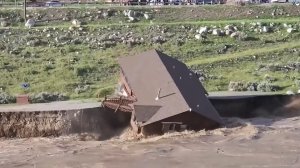 Природа сходит с ума 2