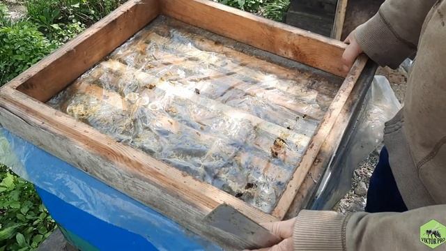 Від личинки до маточника/Матководство смотреть онлайн