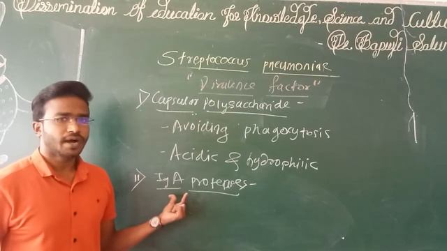 Streptococcus pneumoniae: Virulence factors and antigenic characters смотреть онлайн