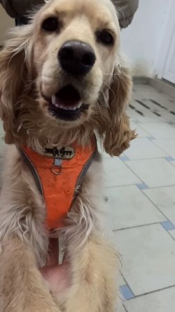 Жорик ❤