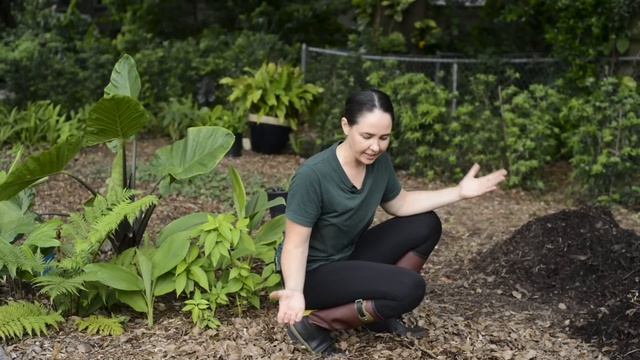 3 Free Ways to Make Your Own Soil for Growing Organic Food - Regenerative Gardening & Permaculture смотреть онлайн