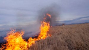 Степи горят в Акмолинской области Казахстана. Дожди заливают Кыргызстан. Погода в СНГ