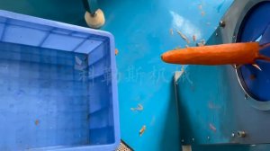 Машина для чистки моркови