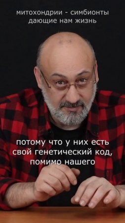 Митохондрии - симбионты, дающие нам жизнь.
