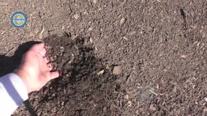 ТОРФОГРУНТ С ПЕСКОМ И ПЕРЕГНОЕМ 89263939737