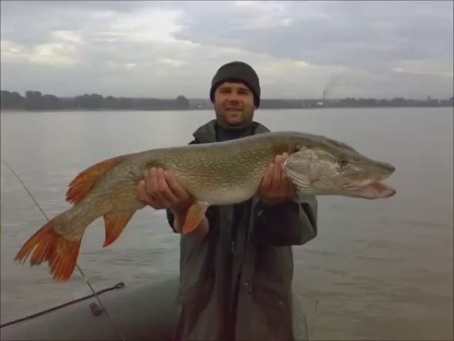 Рыбак рыбака узнаёт из далека. смотреть онлайн