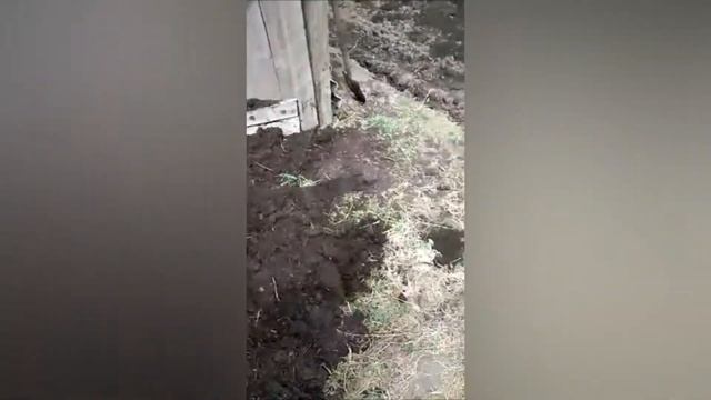 Перевернулся грузовик с землёй смотреть онлайн