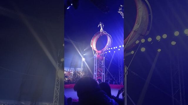 ходила в цирк 😱😱 смотреть онлайн