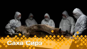 «Саха сирэ» информационнай биэрии. Кулун тутар  28 күнэ 13:30