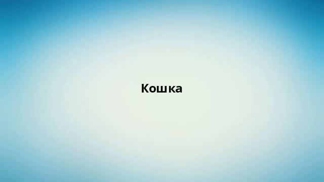 Кошка смотреть онлайн