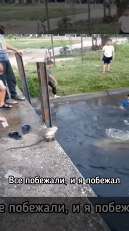 Все побежали, и я побежал
