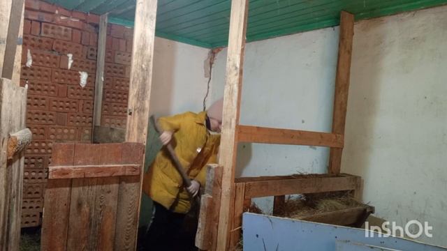 Чистим сарай,убираем глубокую подстилку. Козы на прогулке.