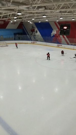 хоккей