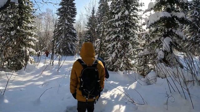 поход Зимовье/декабрь 2022 г