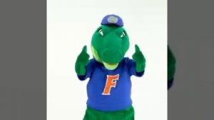 🐊
