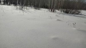 Весенние поездки продолжение.