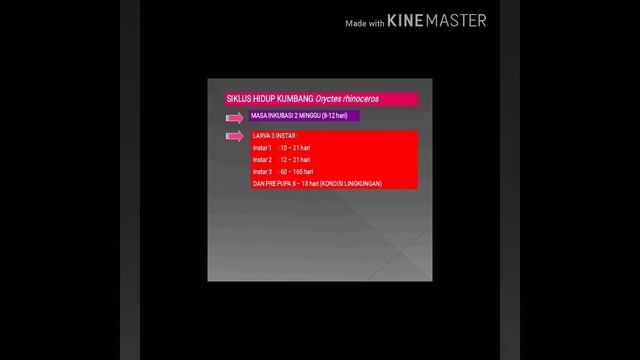 METODE PENGENDALIAN ORYCTES смотреть онлайн