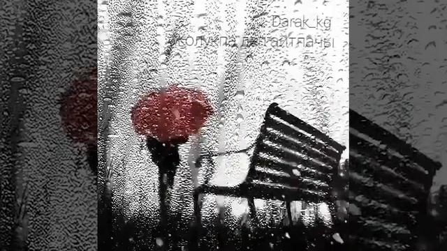 ДИЛЬФУЗА смотреть онлайн