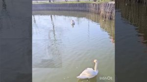 Разное