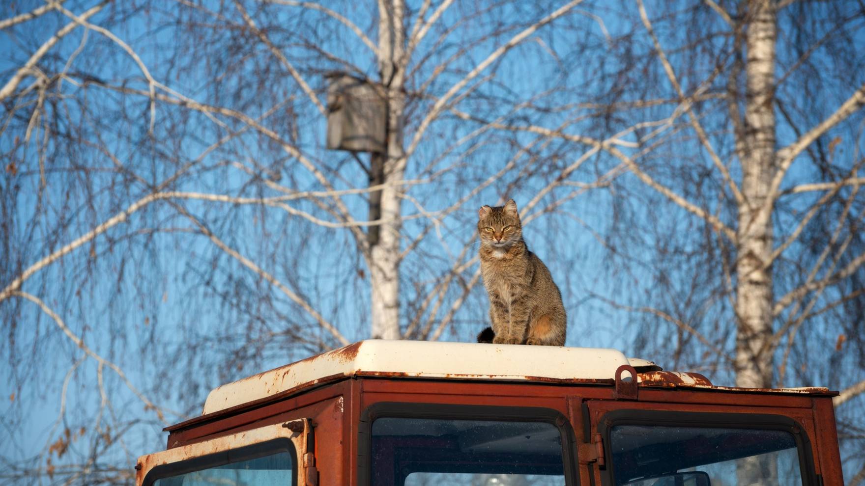 "МУЗЫКА ТИШИНЫ"... (Фото Артёма КАРПОВА (Самара), музыка Сергея ЧЕКАЛИНА)