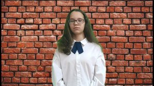 Виртуальный дневник памяти. Шамшетдинова Динара