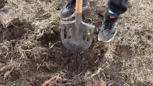 Хожу с метало искателем