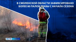 Вести-Смоленск - В Смоленской области зафиксировано более 80 палов травы с начала сезона