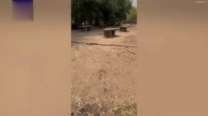 Землетрясение разрушило километровый мост в Бангкоке