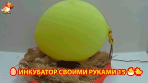 Инкубатор своими руками из подручных материалов и результат инкубации🥚🐣🐤 вариант (15)