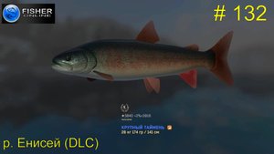 #132 р.Енисей(DLC) ч.20 Путь к серебру: клёвые места тайменя. Прохождение Fisher Online