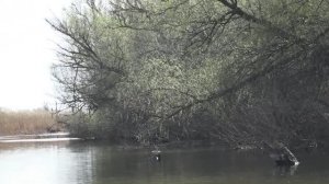 СТРАШНЫЕ ЗАВАЛЫ КИШАТ РЫБОЙ! САМАЯ БЫСТРАЯ РЫБАЛКА!